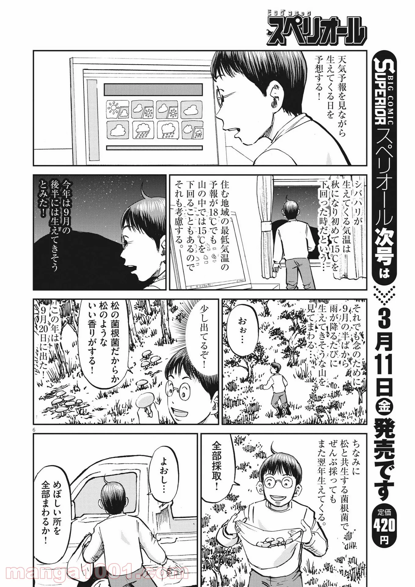 P6