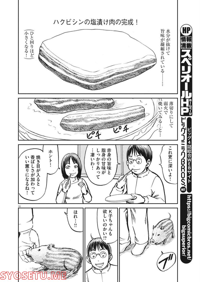 P16