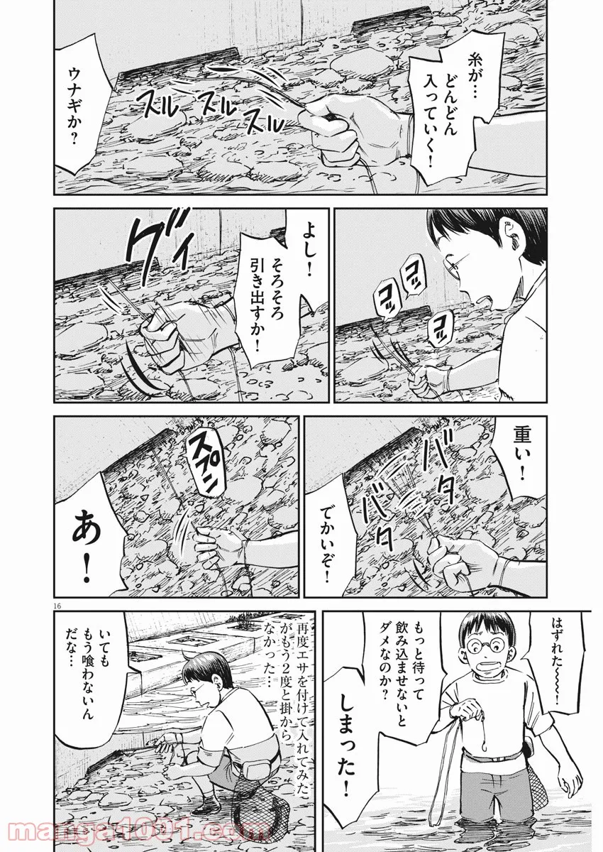 P16