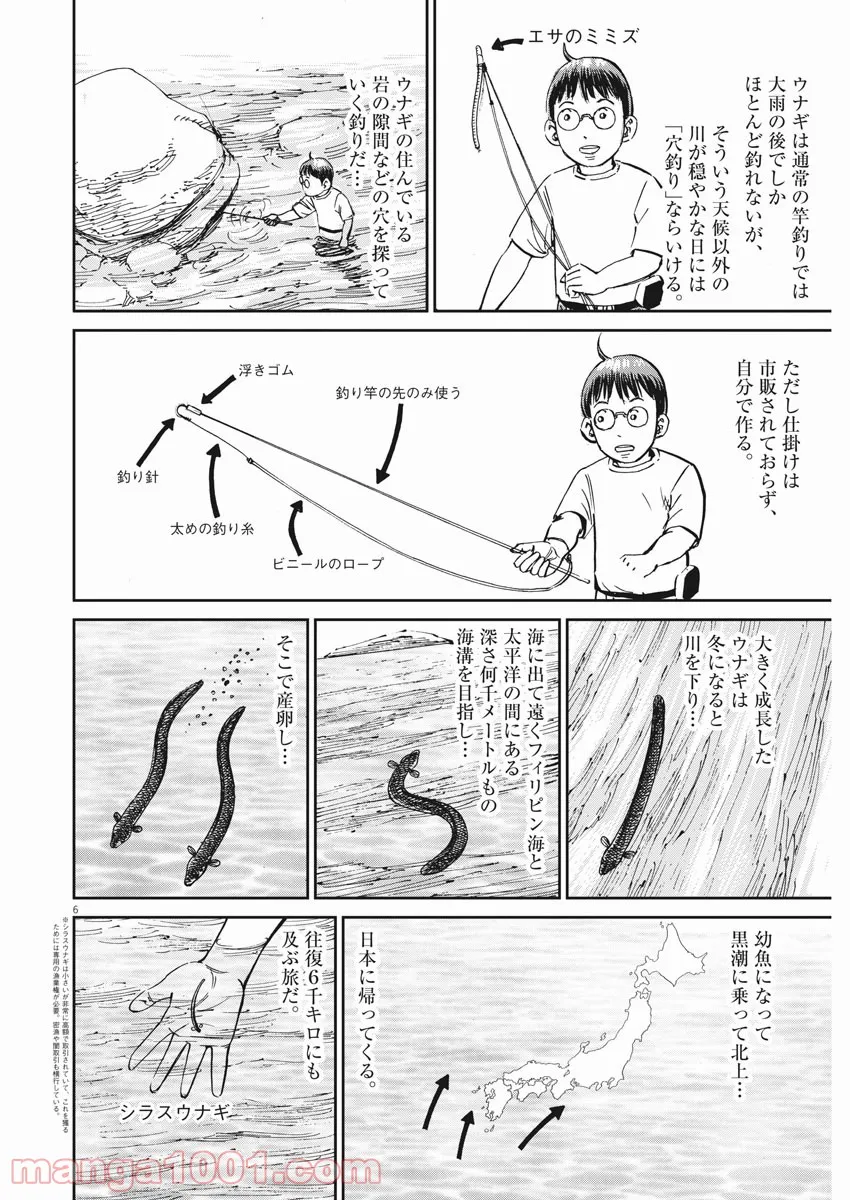 P6