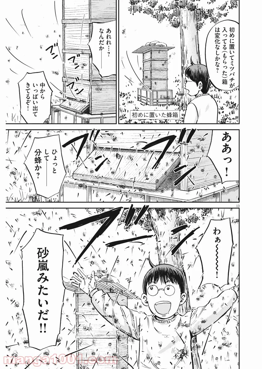 P13