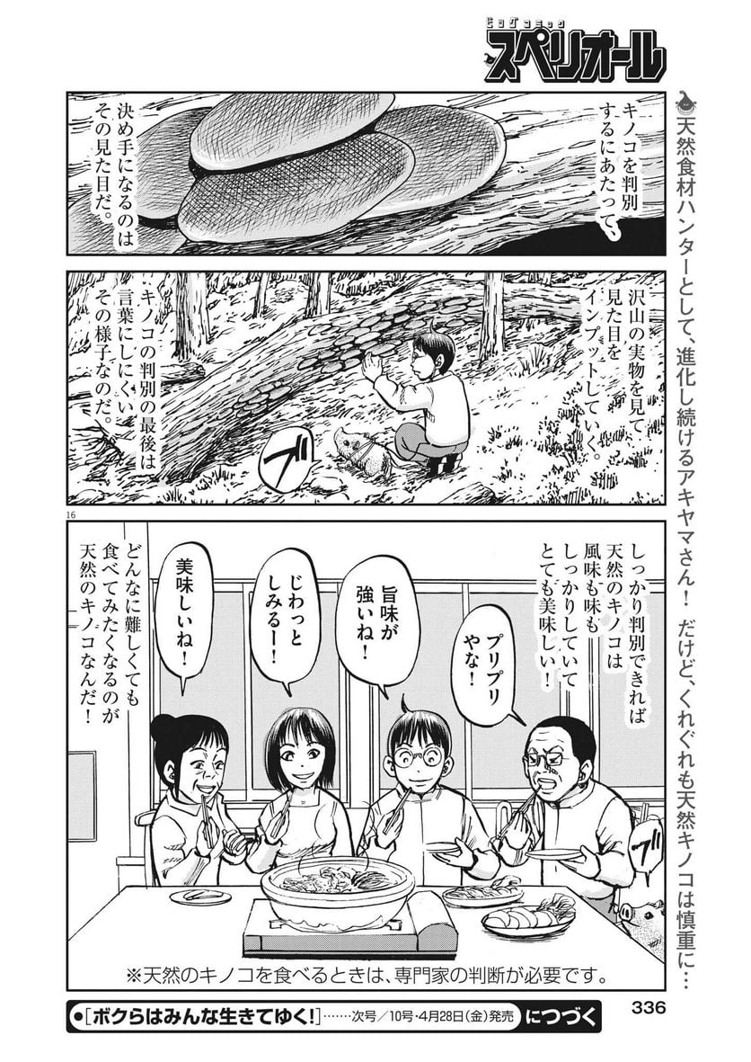 P16