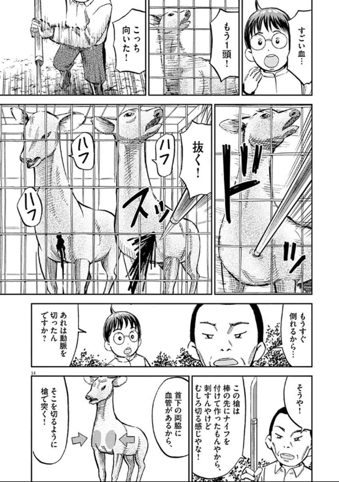 P14