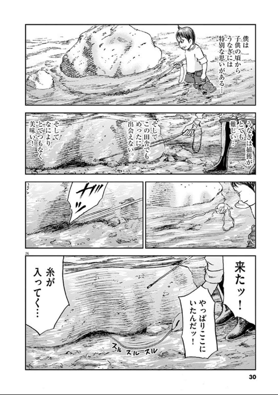 P26