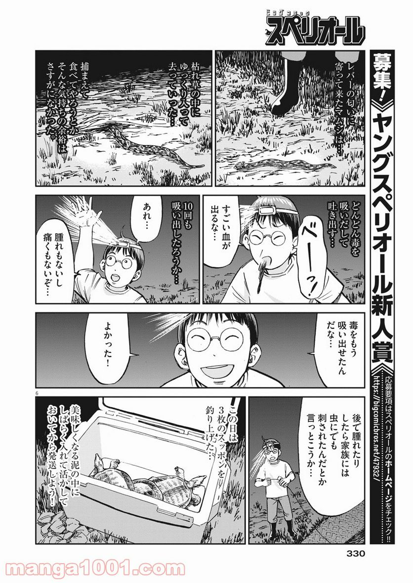P6