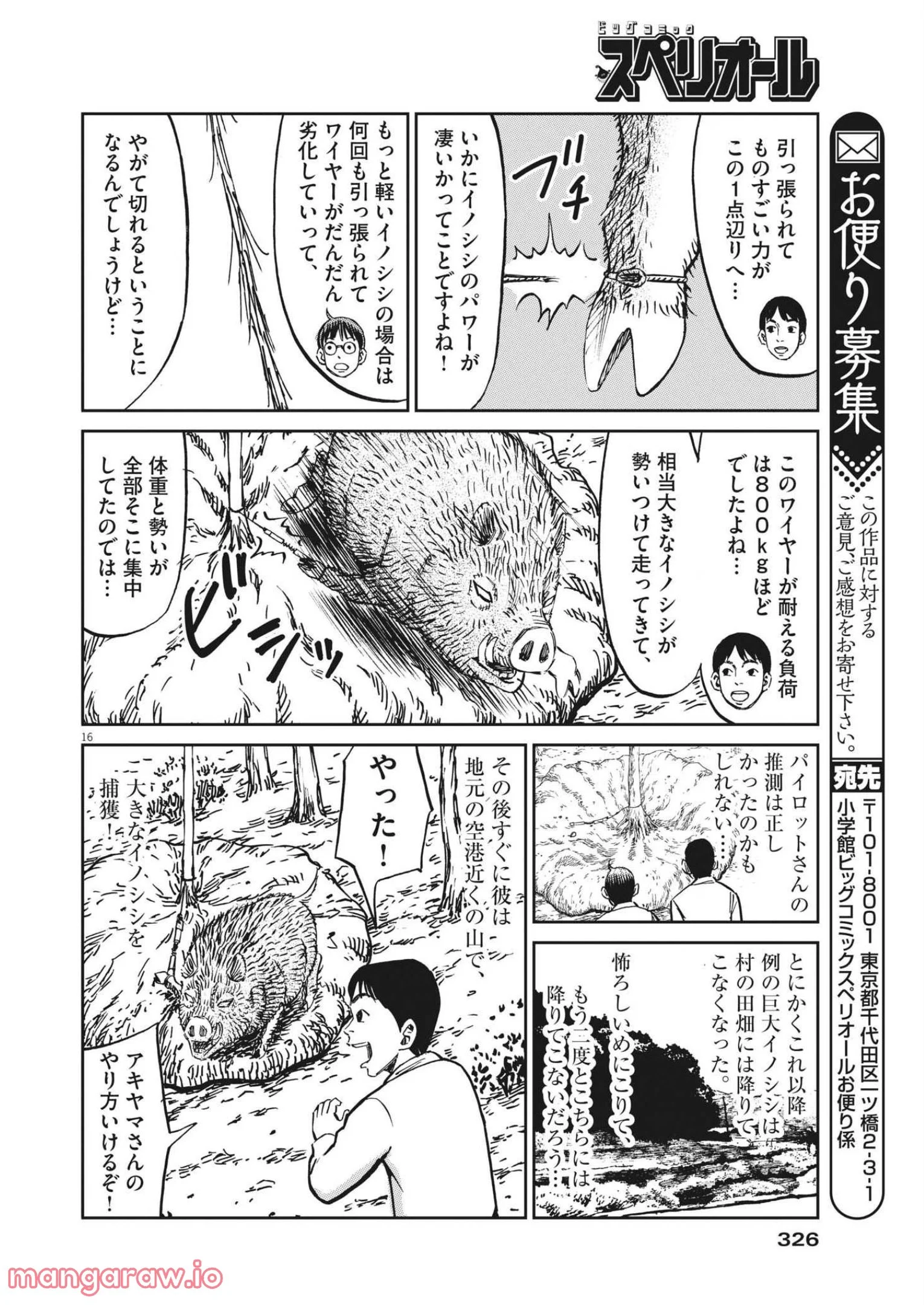 P16