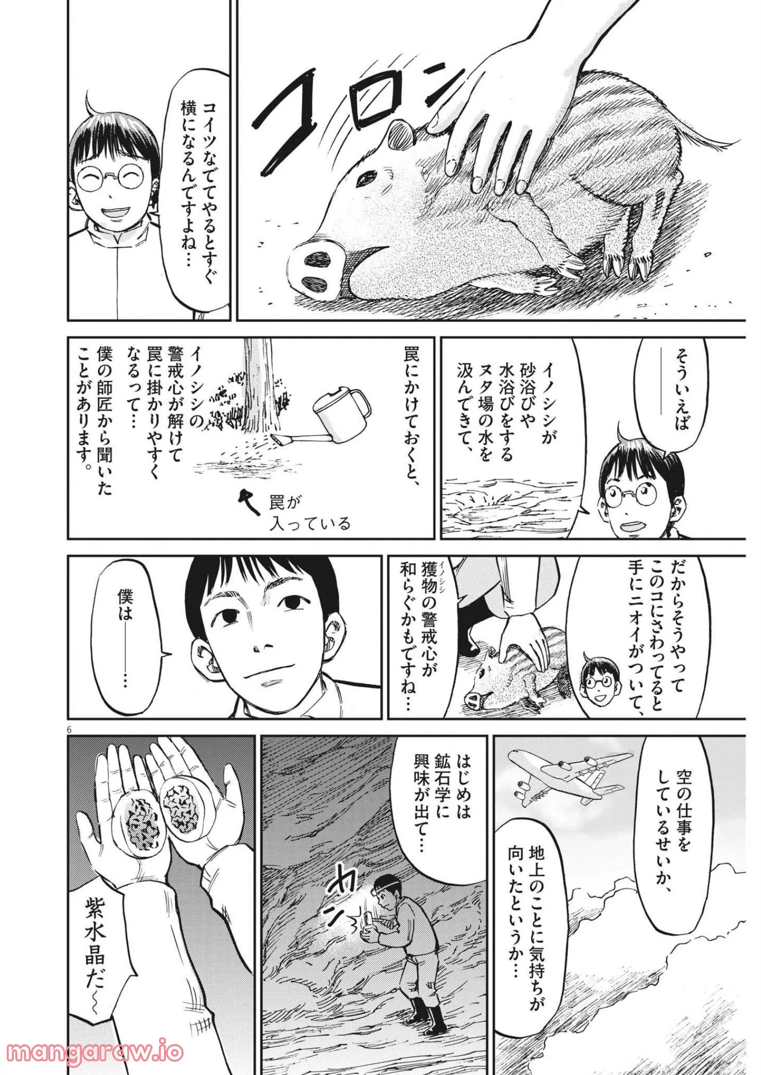 P6