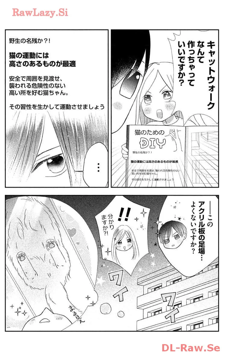 P41