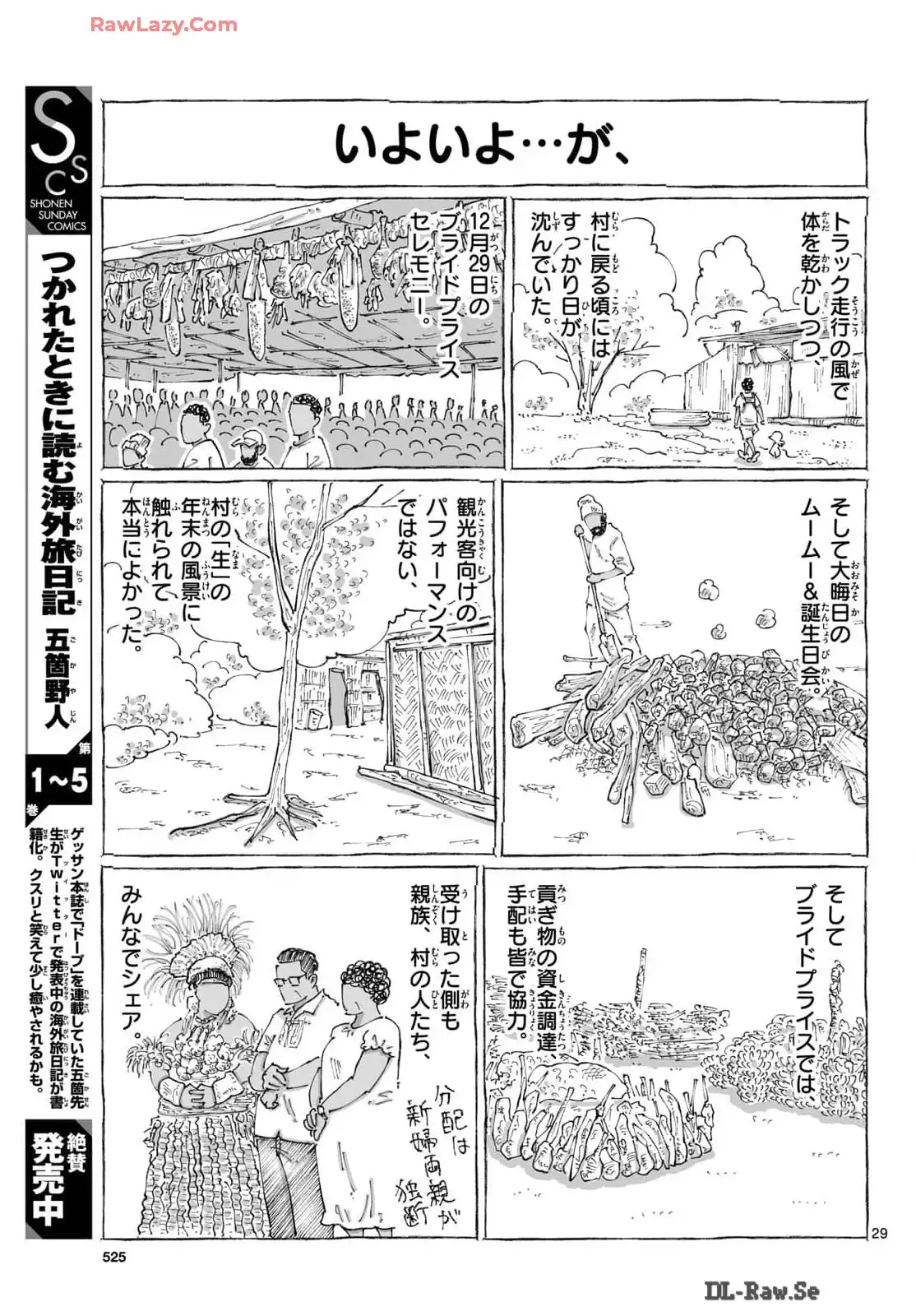 P29