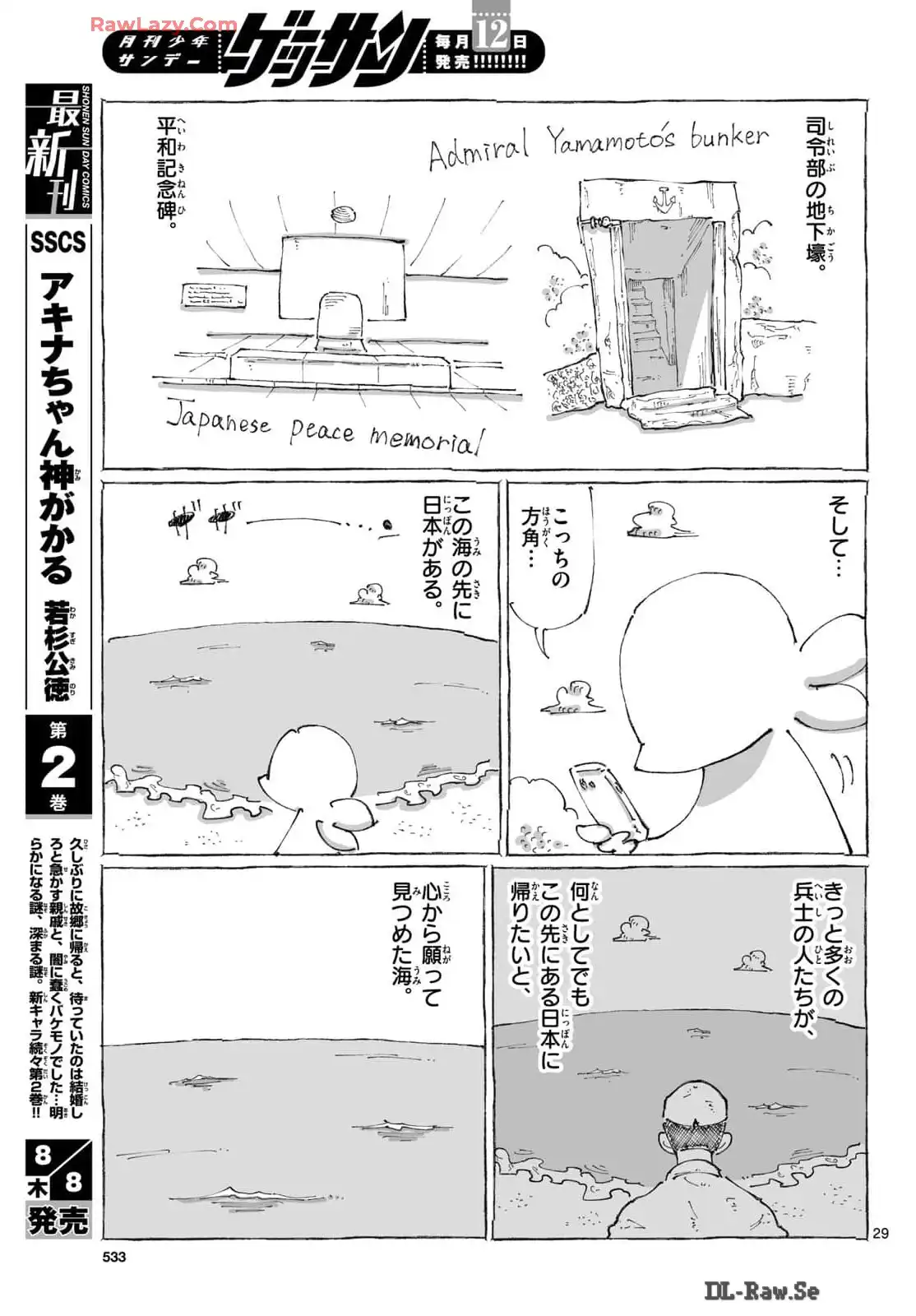 P29