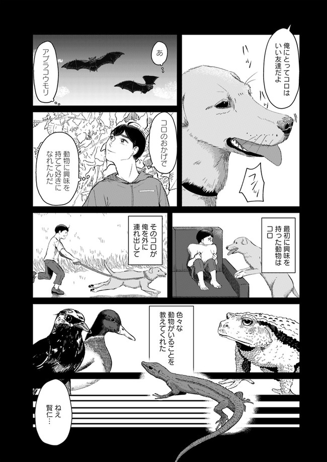 P11