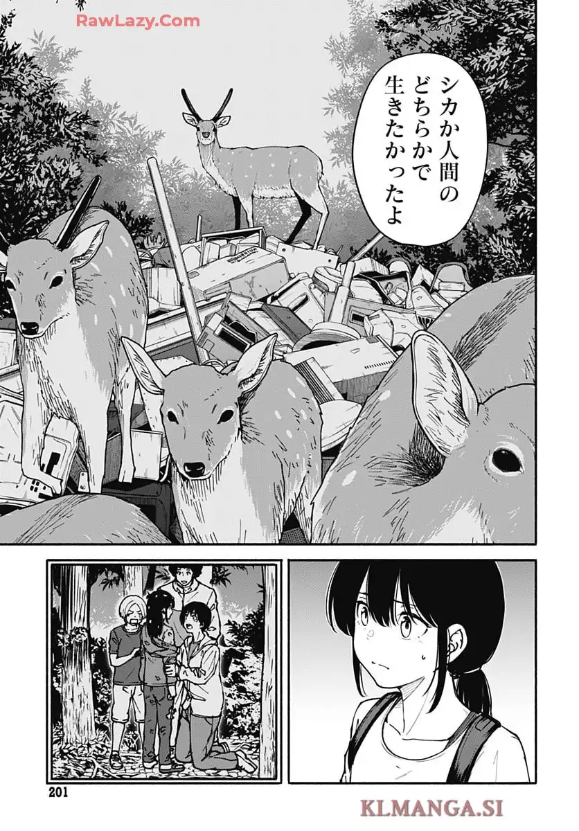 P33