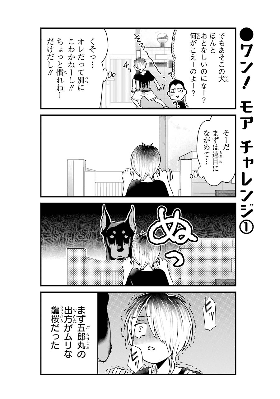 P6