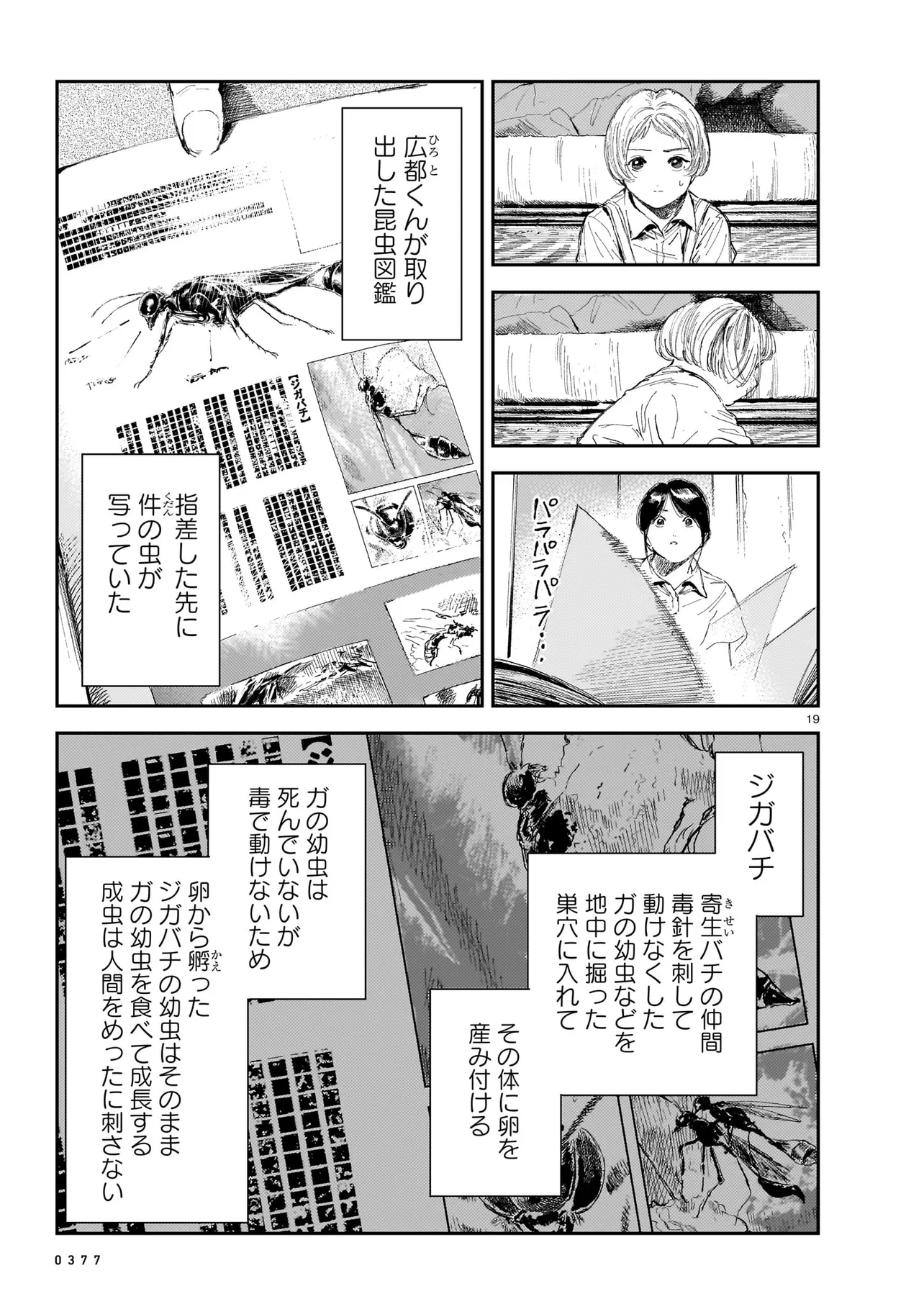 P19