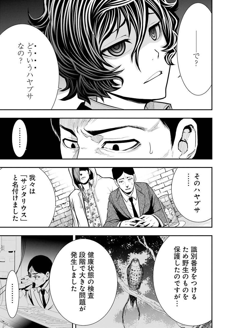 P23