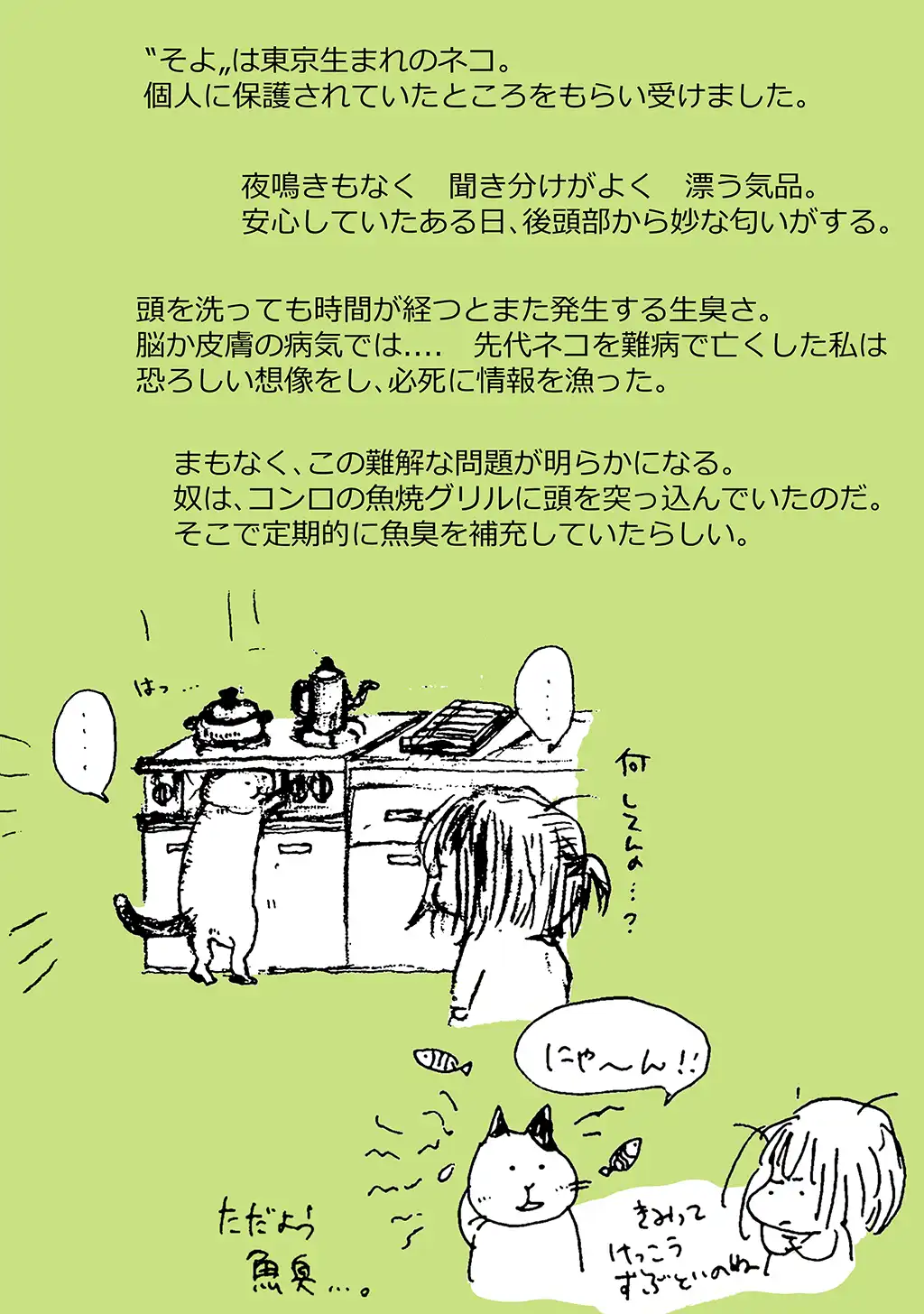P24