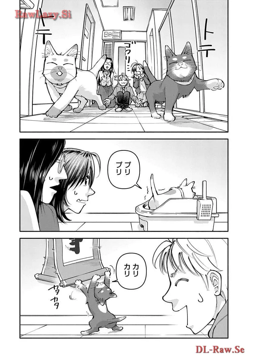P33