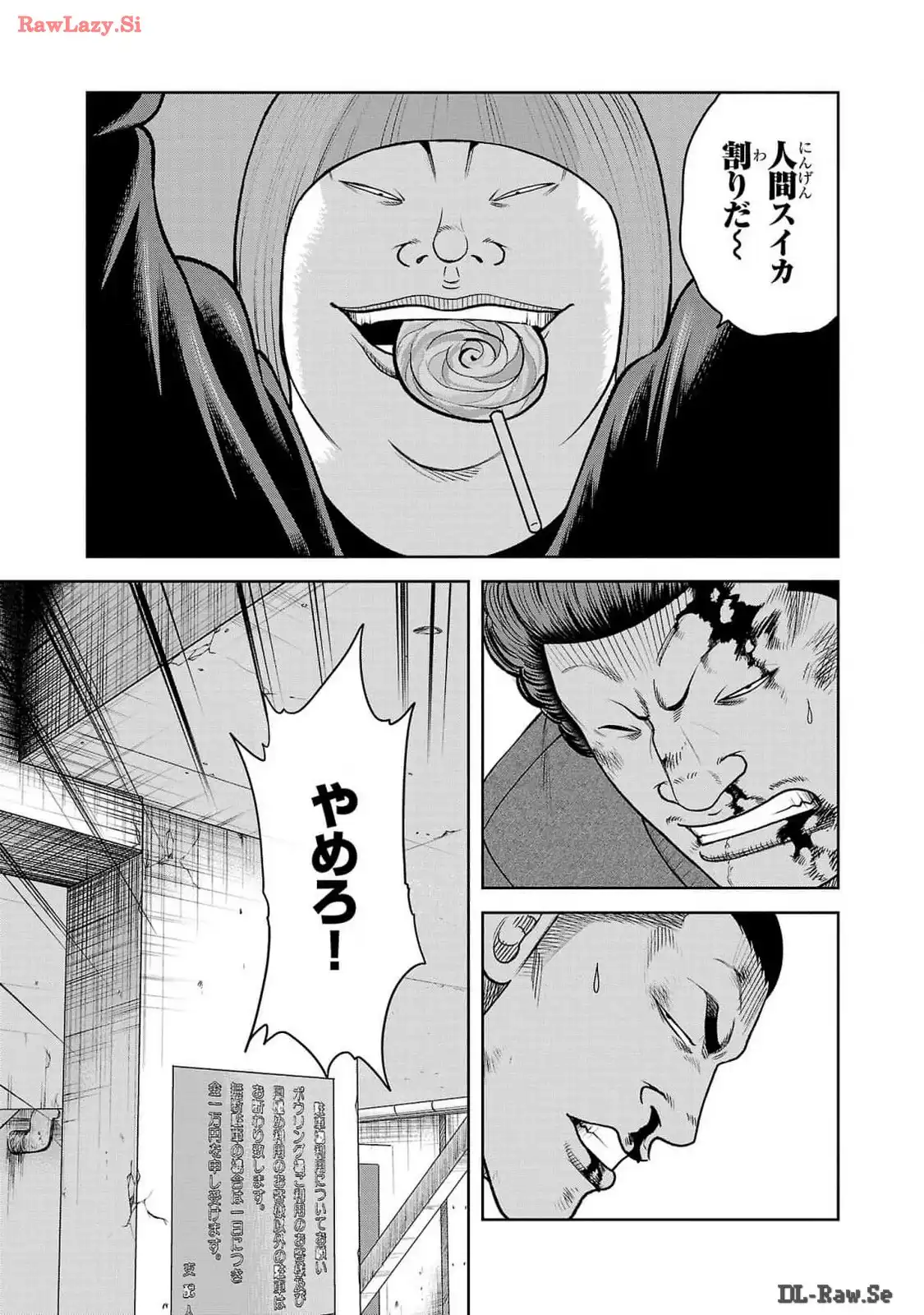 P53