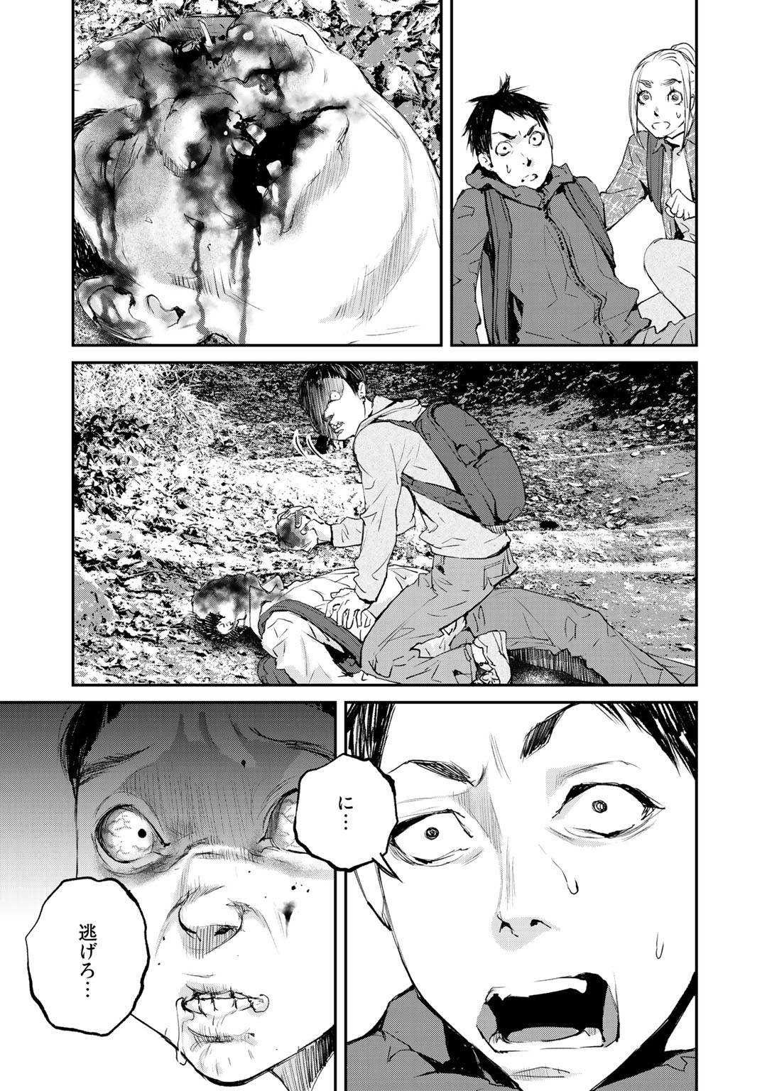 P63