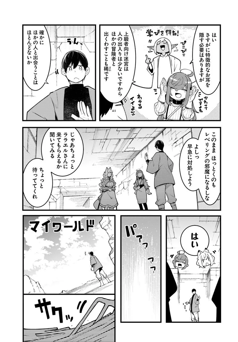 P51