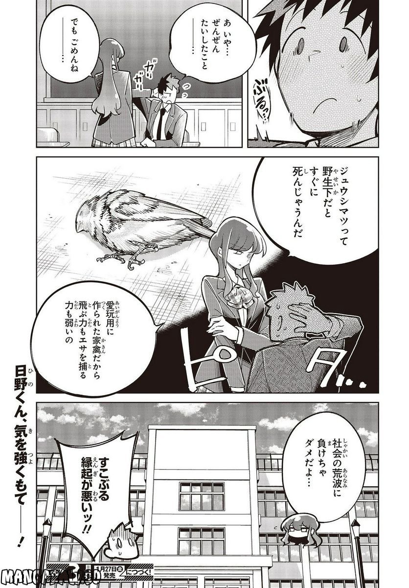 P27