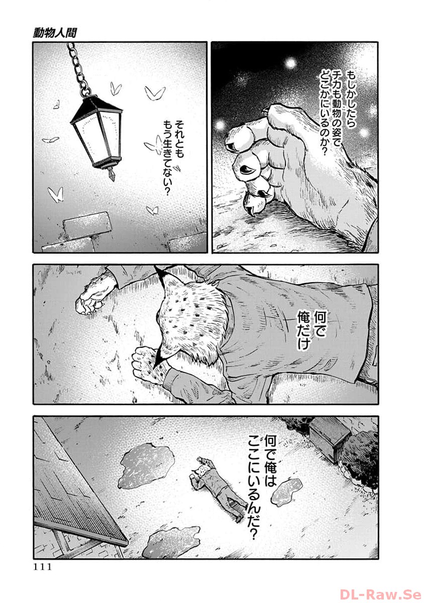P19