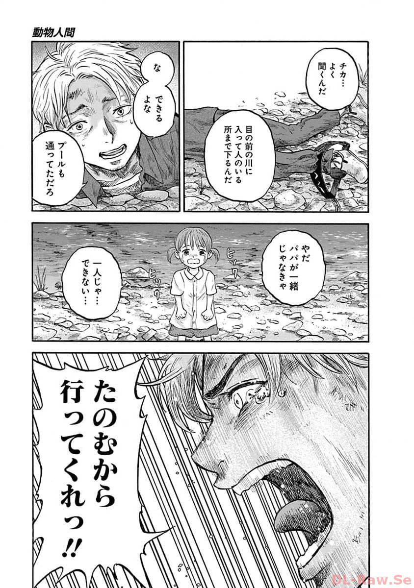 P41
