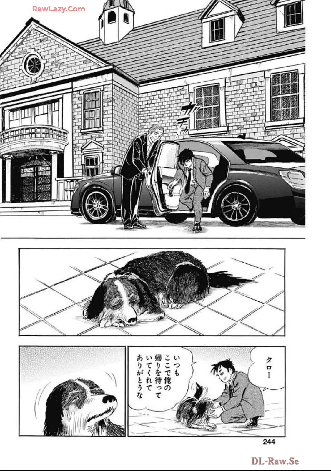 P20