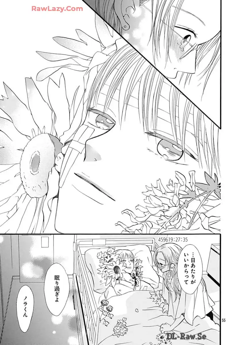 P55