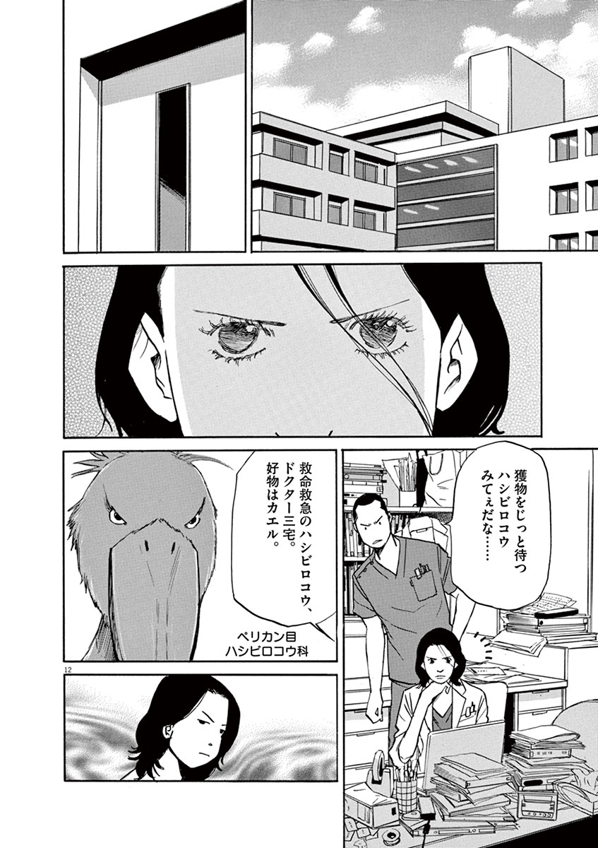 P12