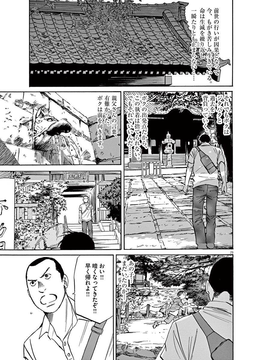 P29
