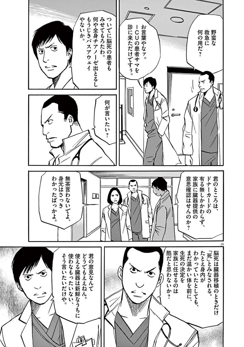 P29