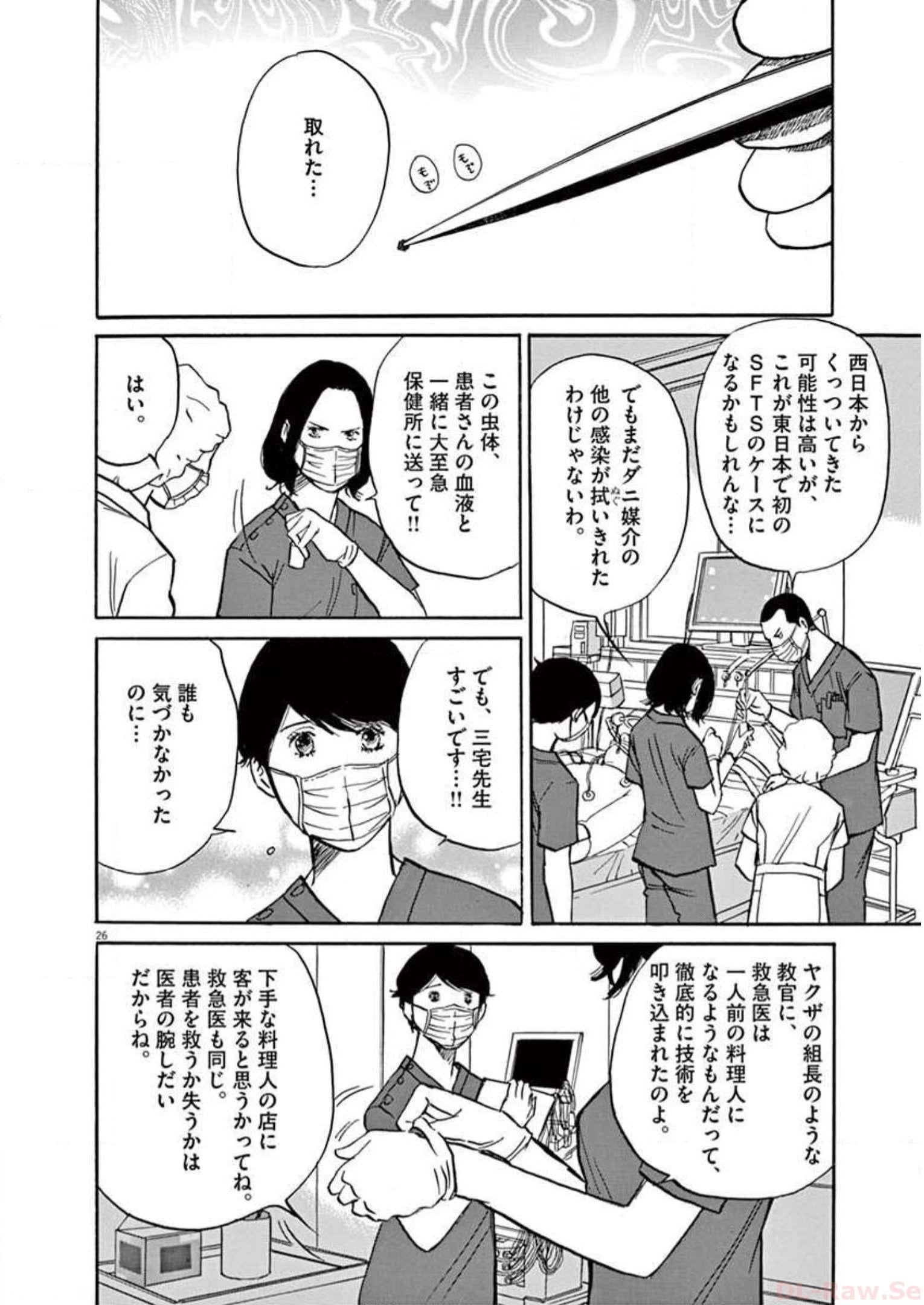 P26