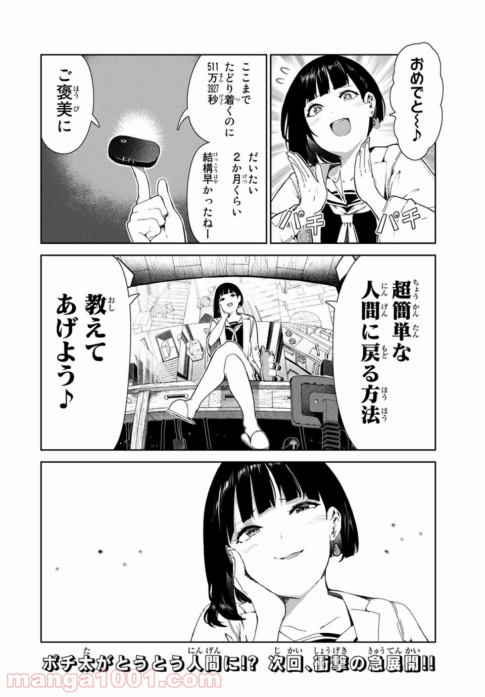 P20