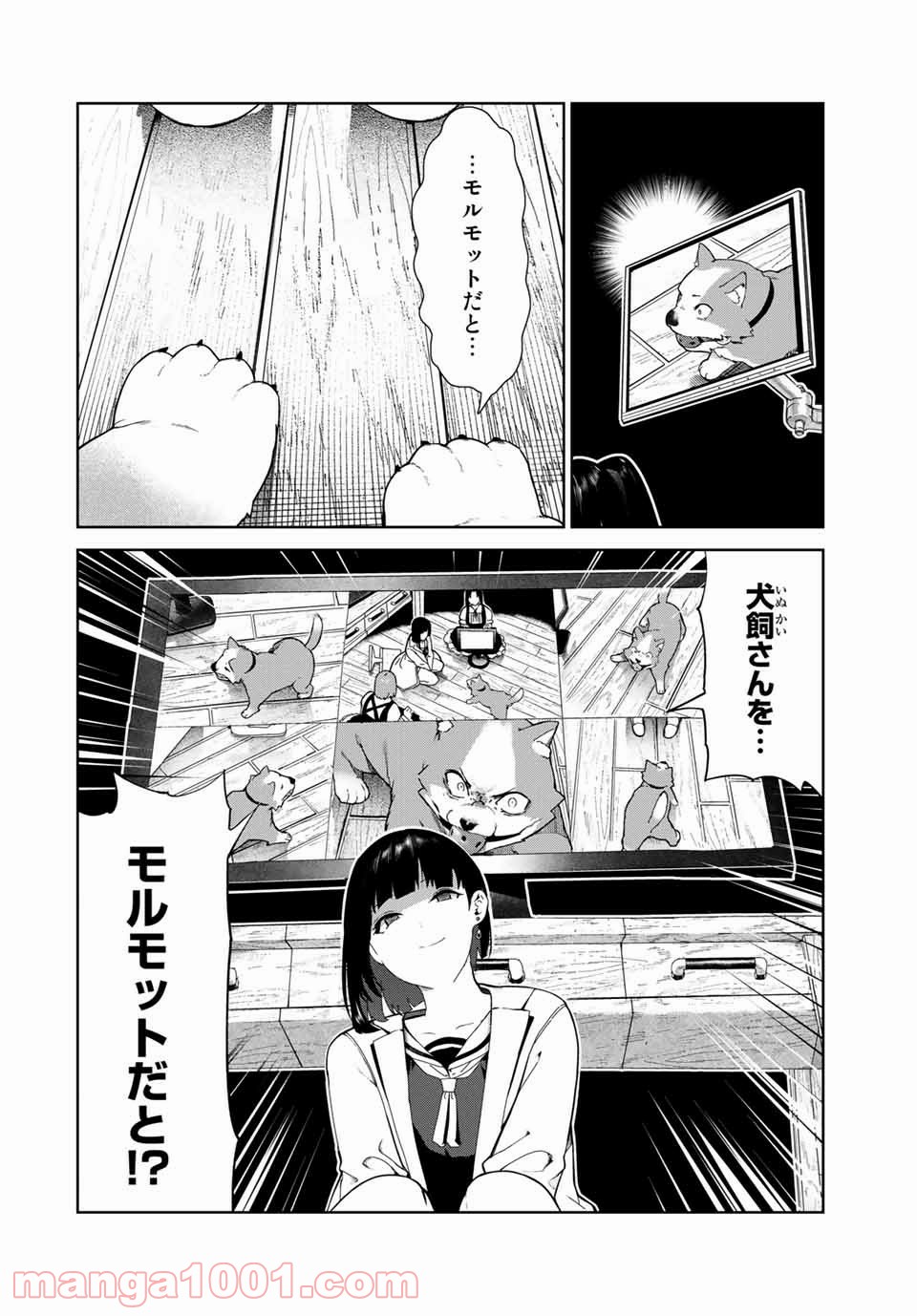 P11