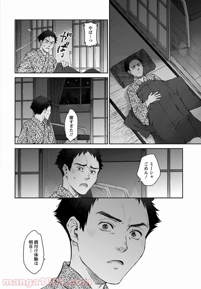 P26