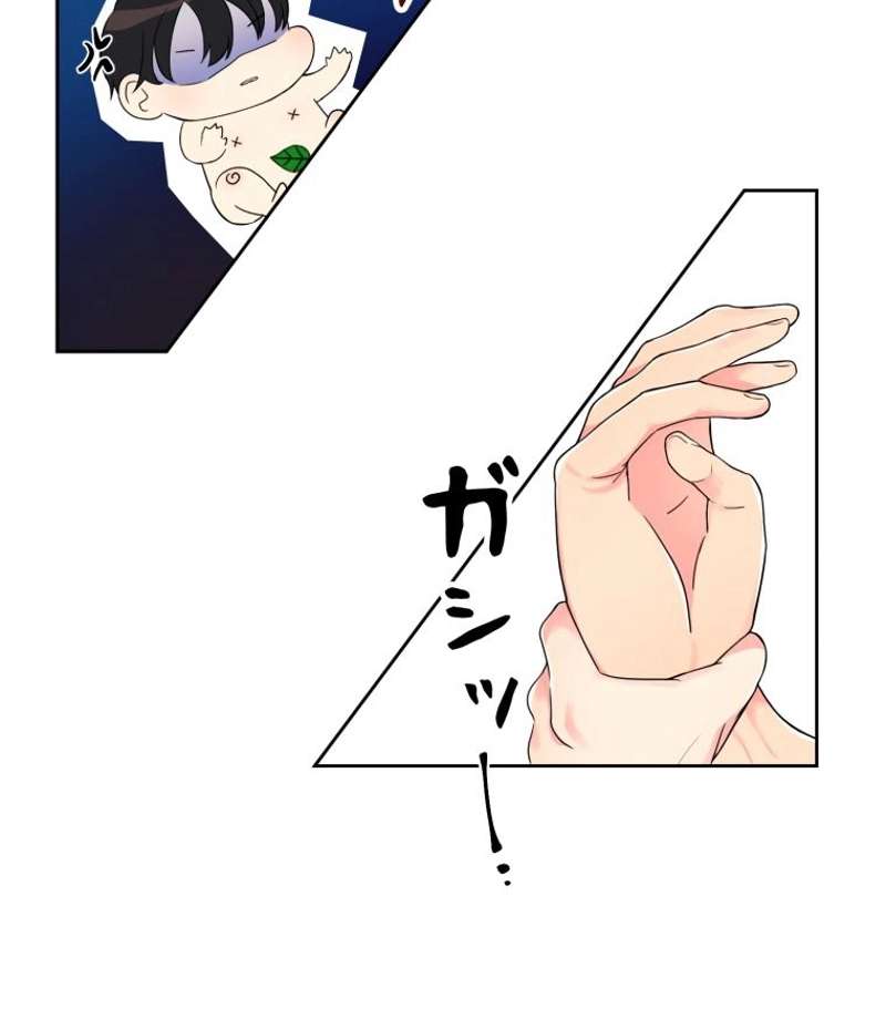 P79