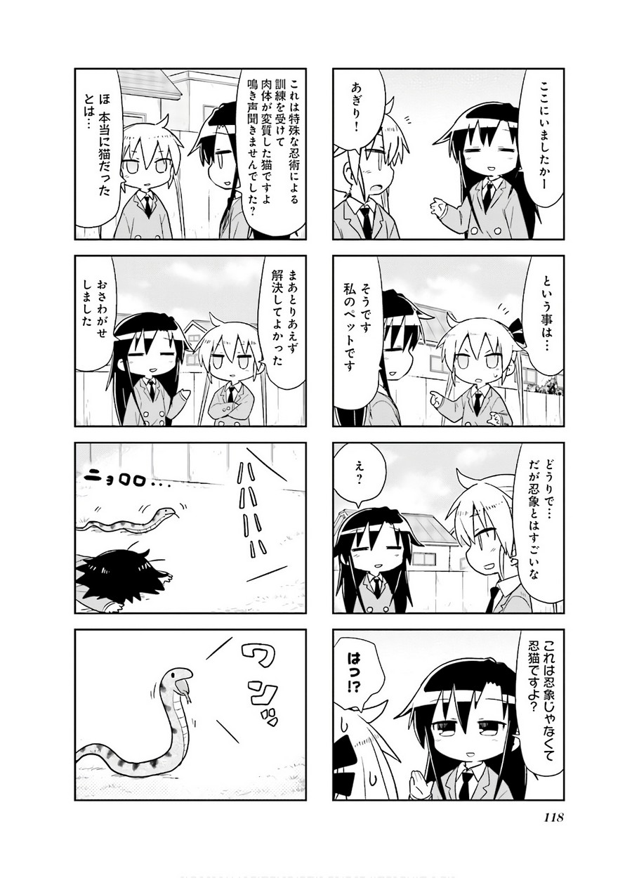P40