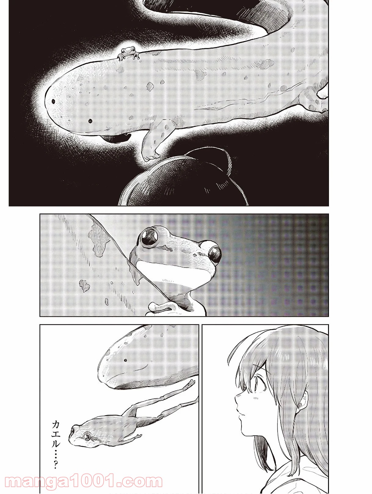 P33