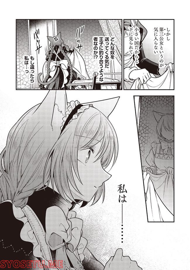 P27