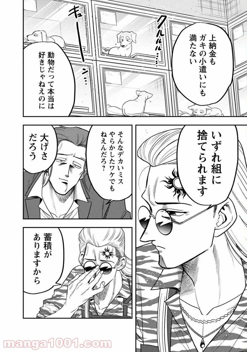 P26