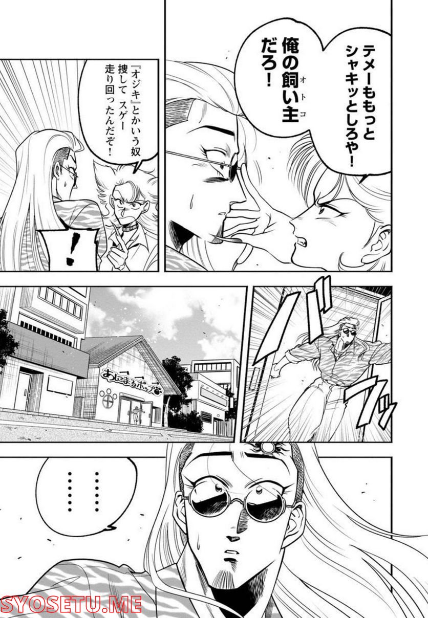 P29