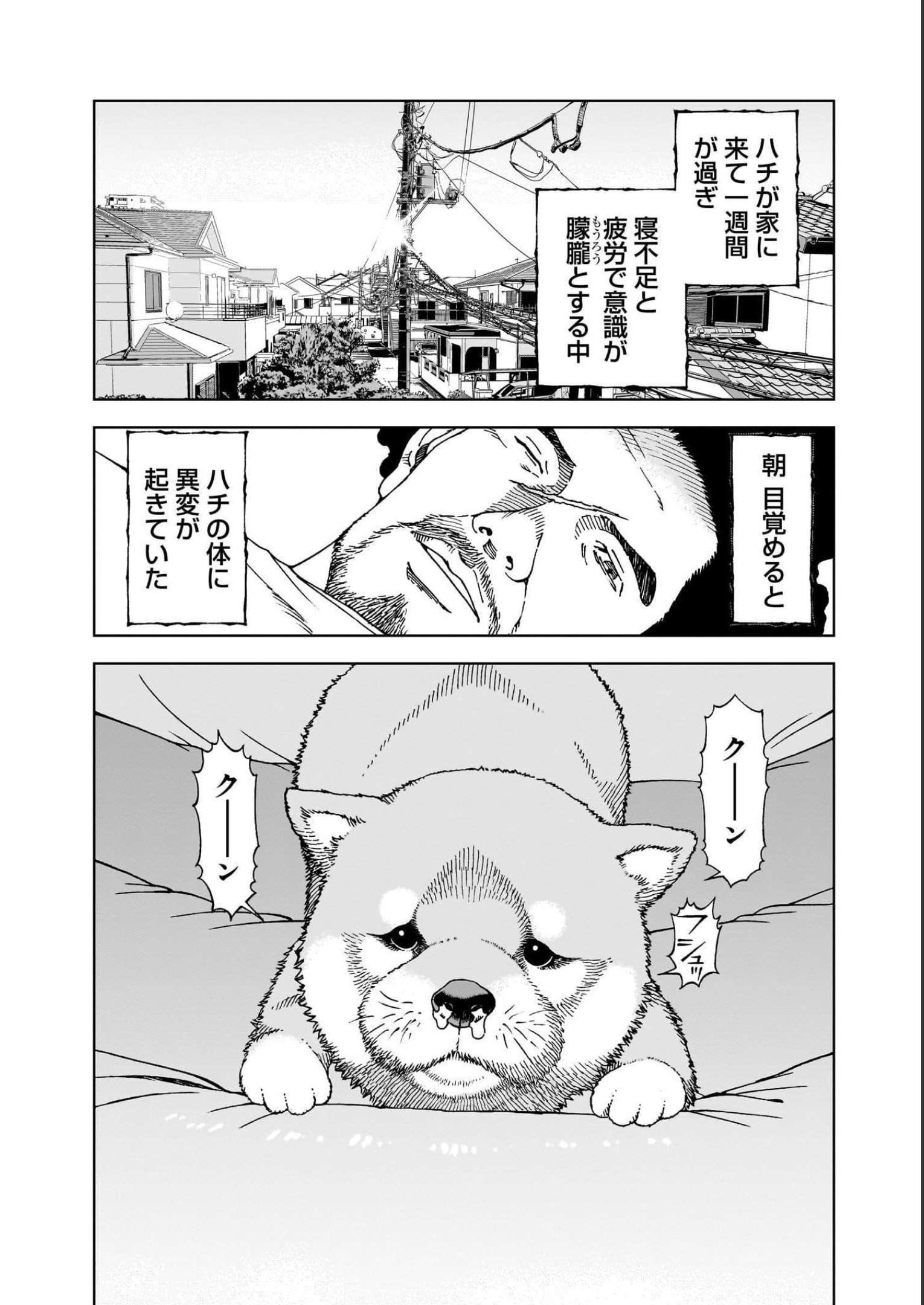 P18