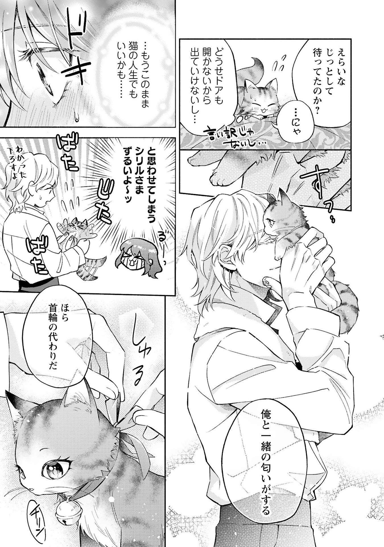 P29