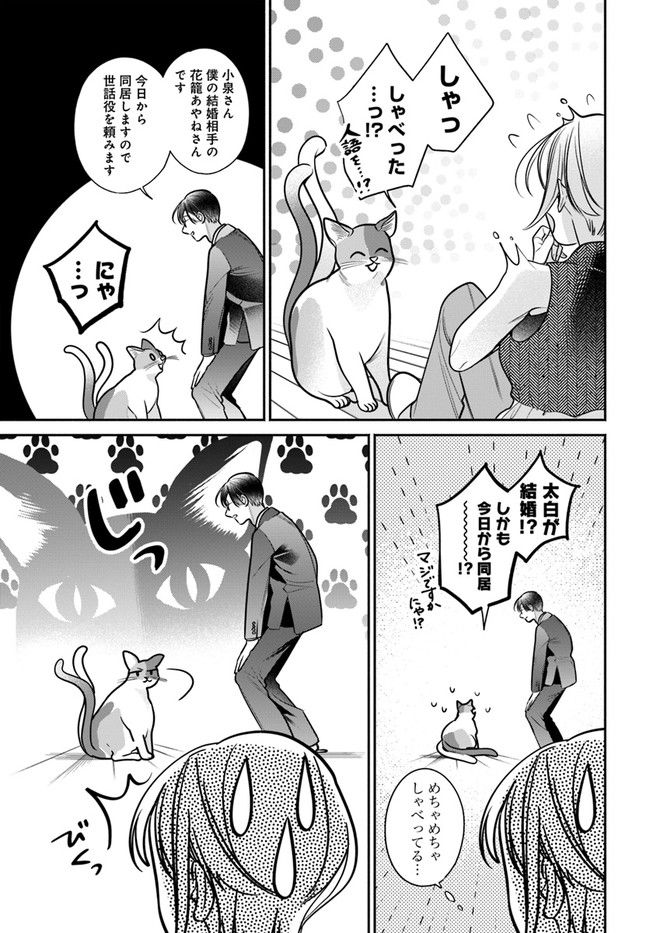 P23