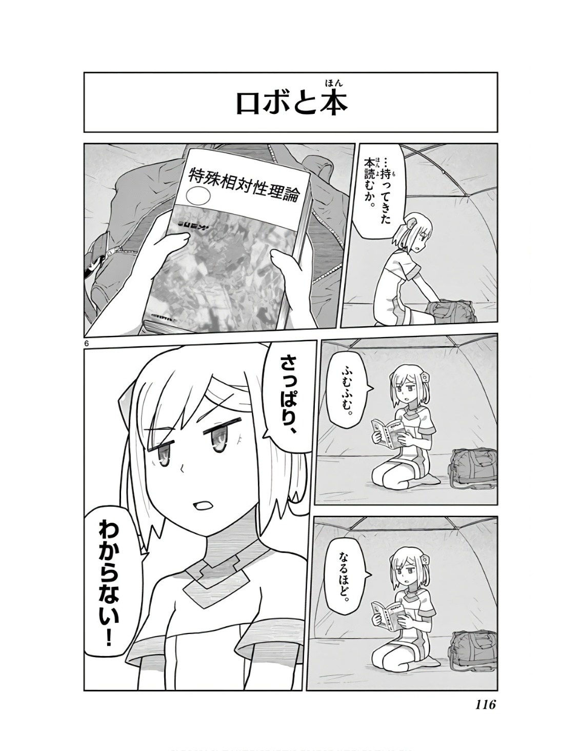 P6