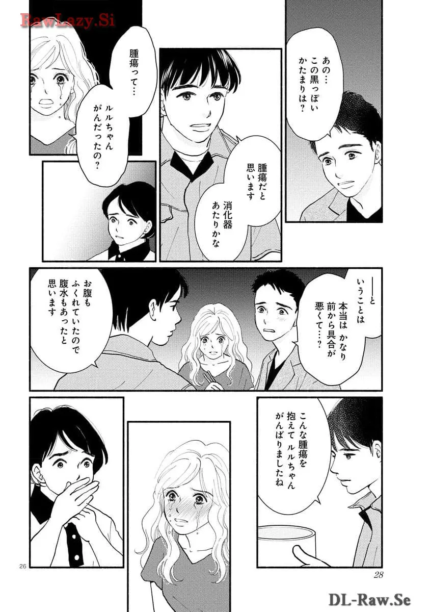 P26