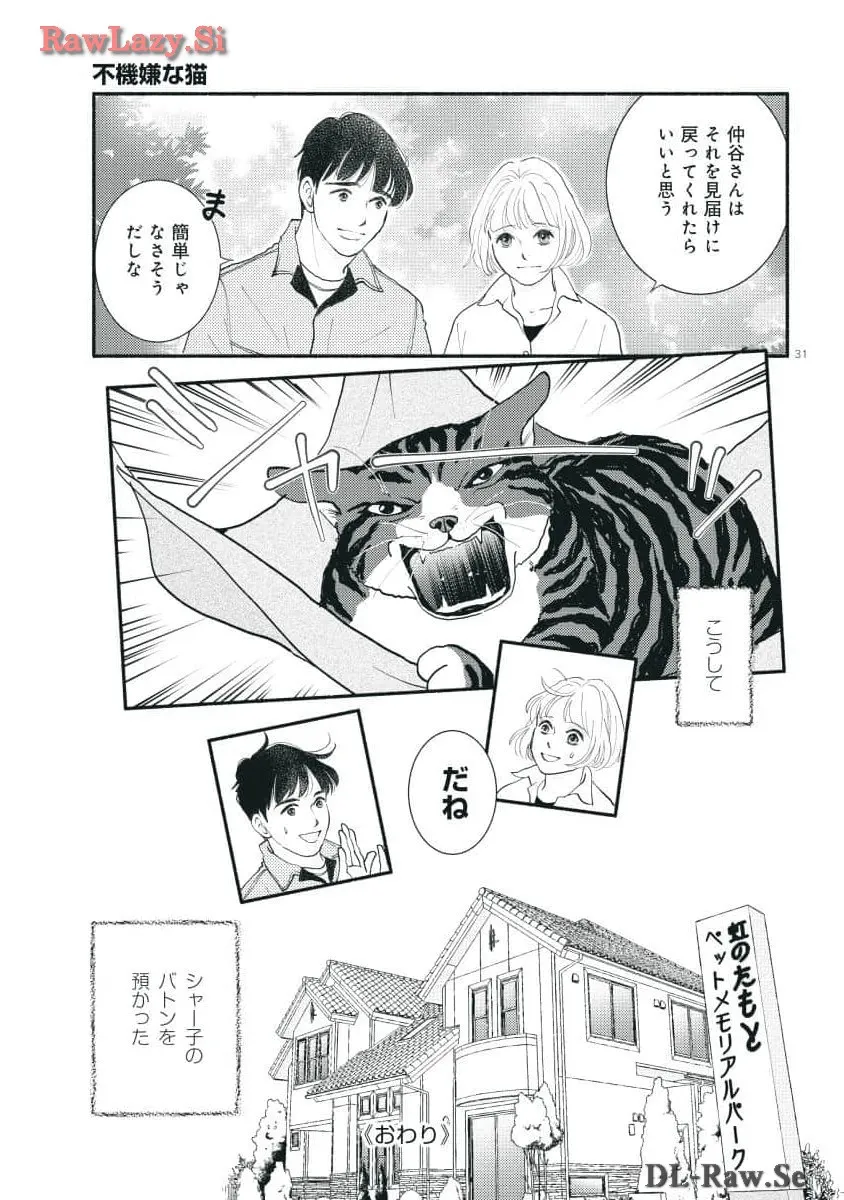 P31