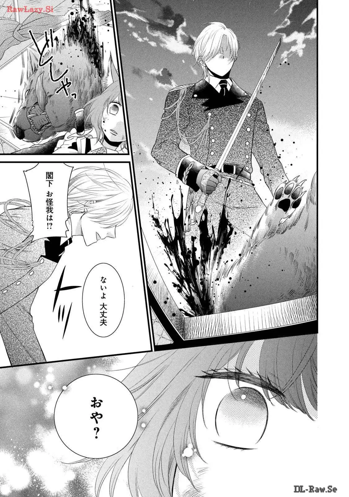 P41