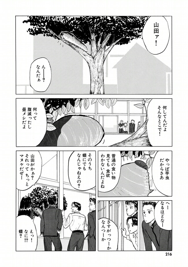 P211